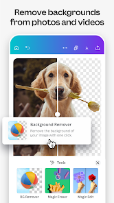 Canva: AI Video & Photo Editor 5